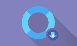Affordable and Efficient Disaster Recovery Solution in the Cloud